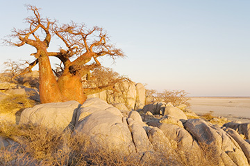 博茨瓦納帕拉佩機(jī)場三字代碼(QPH),帕拉佩機(jī)場(Palapye airport)四字碼,博茨瓦納機(jī)場三字碼查詢
