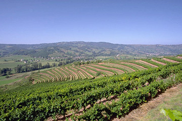 瓦利斯和富圖納群島富圖納島機(jī)場(chǎng)三字代碼(FUT),富圖納島機(jī)場(chǎng)(Pointe Vele airport)四字碼,瓦利斯和富圖納群島機(jī)場(chǎng)三字碼查詢